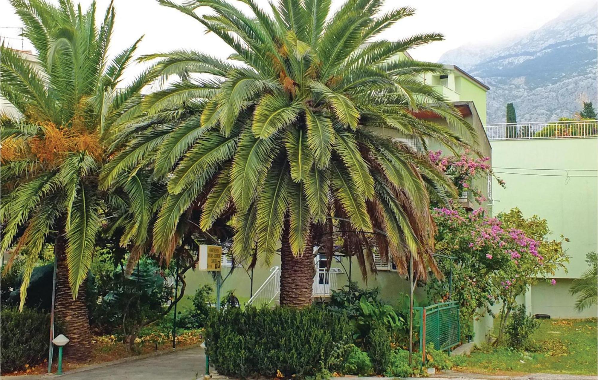 Lovely Apartment In Makarska With Wifi ภายนอก รูปภาพ
